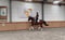 Annuncio cavallo