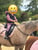 Horse ad
