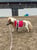 Annuncio cavallo