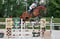 Annuncio cavallo