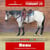 Annuncio cavallo