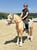 Horse ad