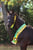 Horse ad