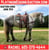 Horse ad
