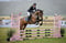 Annuncio cavallo