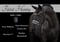 Horse ad