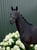 Annuncio cavallo