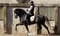 Horse ad