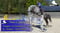 Horse ad