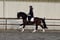 Horse ad