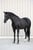 Horse ad