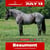 Paardadvertentie