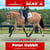 Horse ad