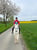 Paardadvertentie