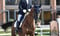 Annuncio cavallo