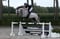 Annuncio cavallo