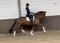Annuncio cavallo