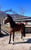 Horse ad