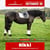 Paardadvertentie