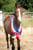 Horse ad