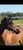 Horse ad