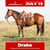 Annuncio cavallo