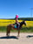 Horse ad