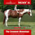 Anuncio de caballos
