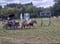 Annonce cheval