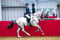 Annonce cheval
