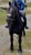 Horse ad