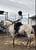 Annuncio cavallo