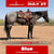 Horse ad