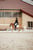Horse ad