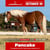Paardadvertentie