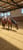 Horse ad