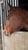 Horse ad