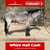Anuncio de caballos