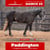 Horse ad