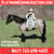 Horse ad