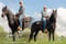Annuncio cavallo