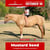 Paardadvertentie