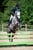 Annuncio cavallo