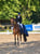 Annuncio cavallo