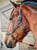 Anuncio de caballos