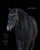 Horse ad