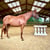 Horse ad