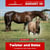 Annonce cheval