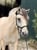 Horse ad