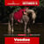 Paardadvertentie